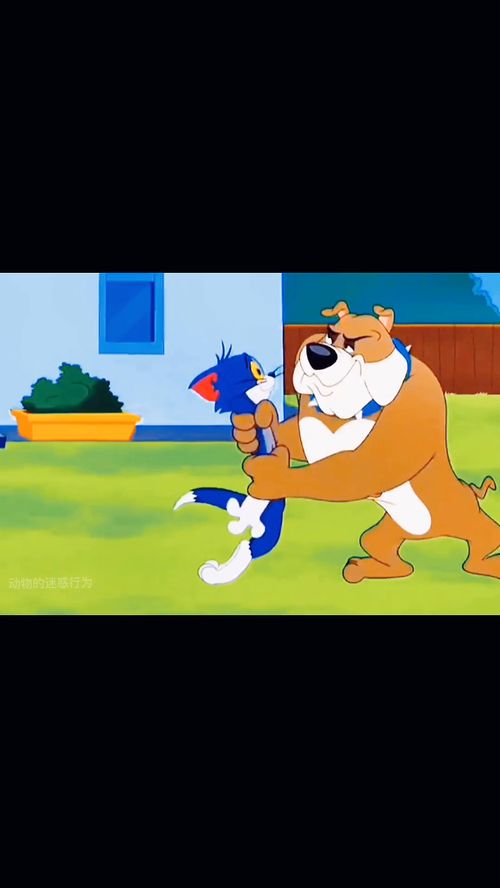 動(dòng)畫(huà)片中的離譜行為 那些匪夷所思的代理代辦名場(chǎng)面